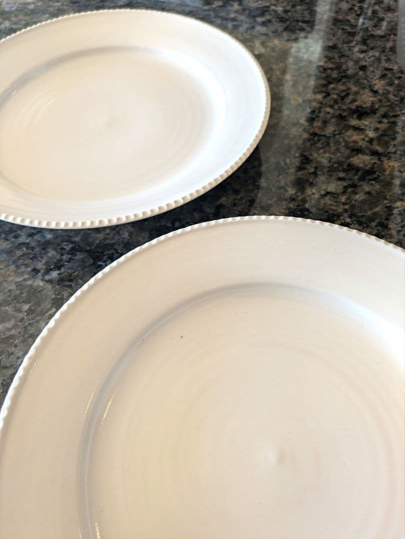 最終価格　*美品*　岡田直人　縁しのぎプレート　Мサイズ