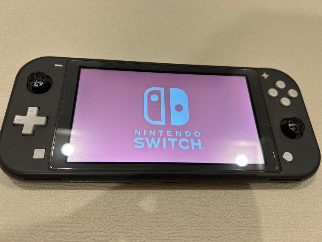 Nintendo Switch Lite グレー　本体のみ