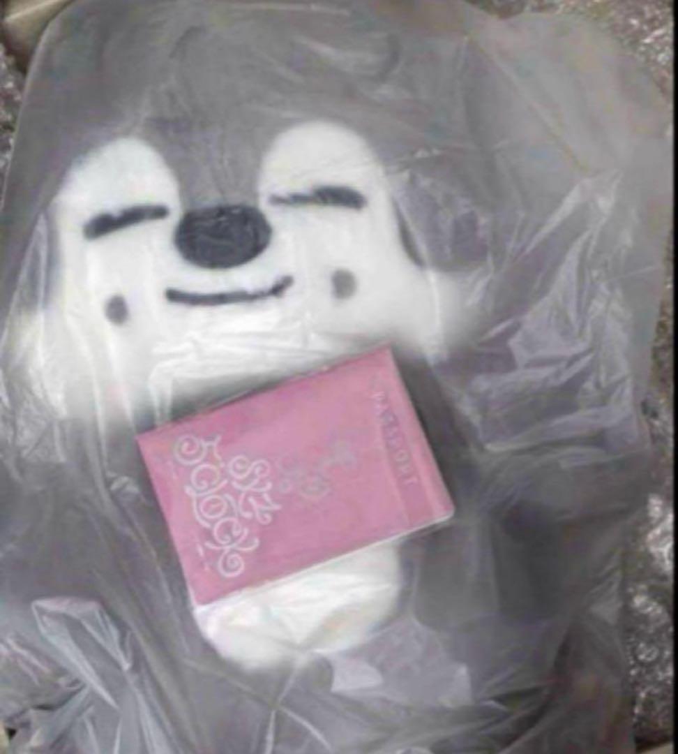 straykids スキズ テディベア SKZOO ウルフチャン　te