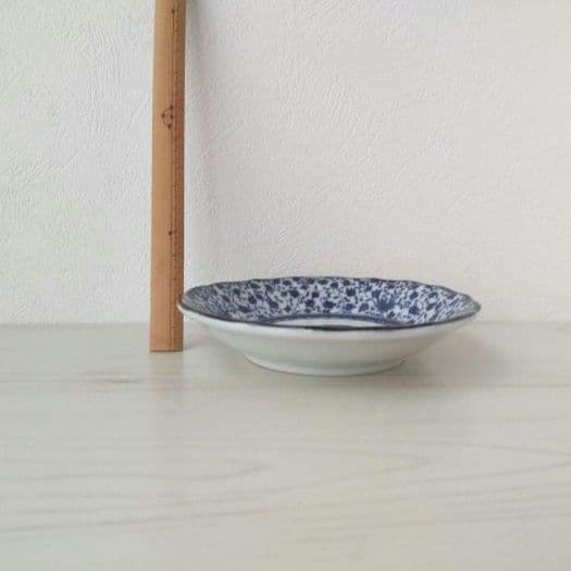 新品　九谷焼　12cm皿　眠り猫　C　ねこ　ネコ　猫